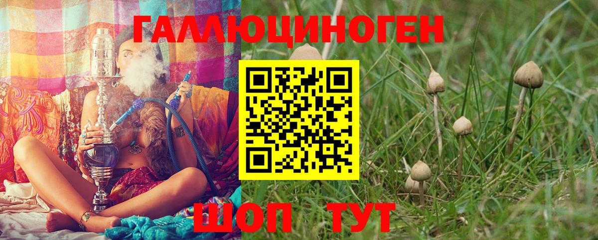 Псилоцибиновые грибы мухоморы Сердобск