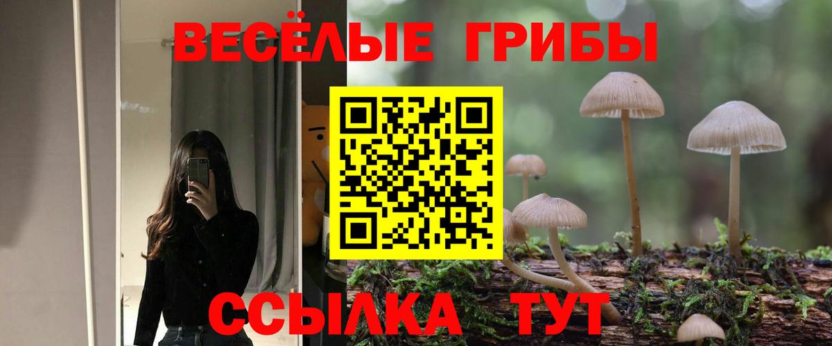 Псилоцибиновые грибы MAGIC MUSHROOMS  Вход с VPN  Сердобск 